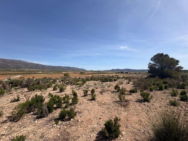Terreno/Finca Rústica en venta en Pinoso, Alicante