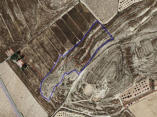 Terreno/Finca Rústica en venta en Pinoso, Alicante