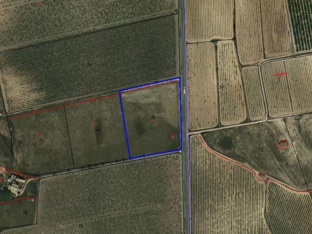 Terreno/Finca Rústica en venta en Pinoso, Alicante