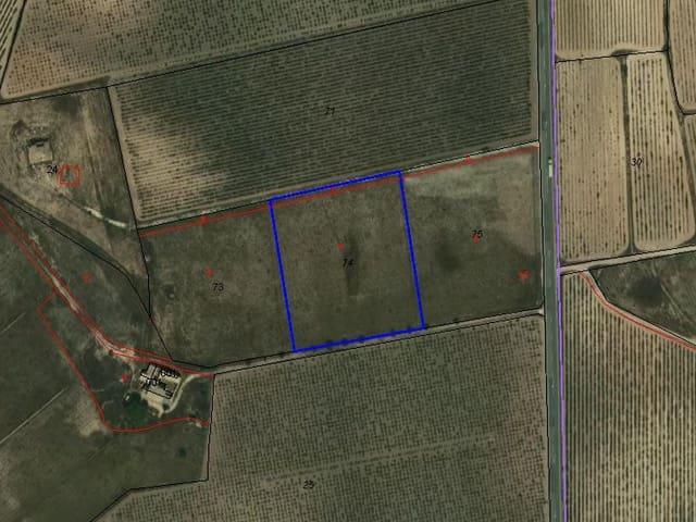 Terreno/Finca Rústica en venta en Pinoso, Alicante