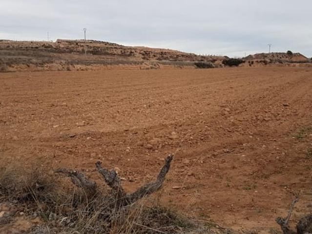 Terreno/Finca Rústica en venta en Pinoso, Alicante