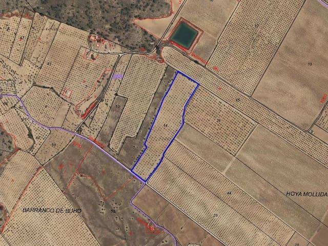 Terreno/Finca Rústica en venta en Pinoso, Alicante