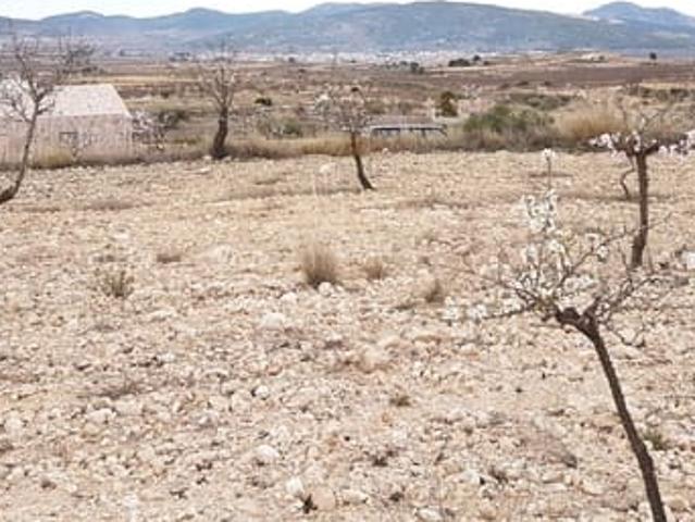 Terreno/Finca Rústica en venta en Pinoso, Alicante