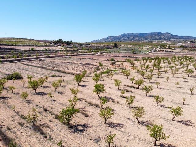 Terreno/Finca Rústica en venta en Pinoso, Alicante