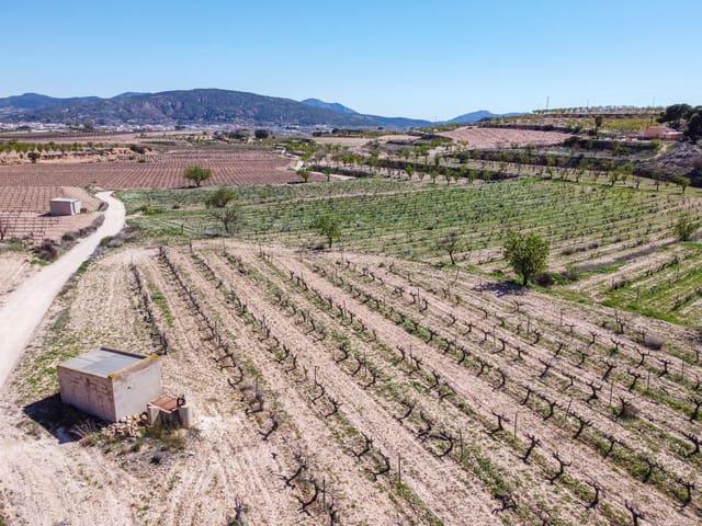Terreno/Finca Rústica en venta en Pinoso, Alicante