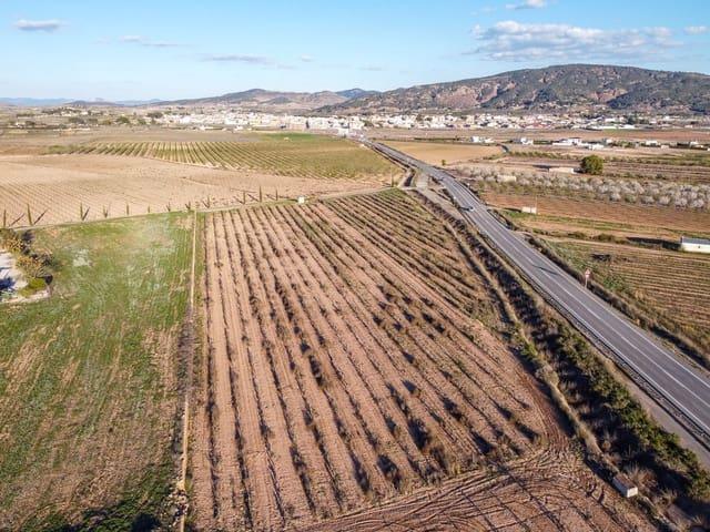 Terreno/Finca Rústica en venta en Pinoso, Alicante