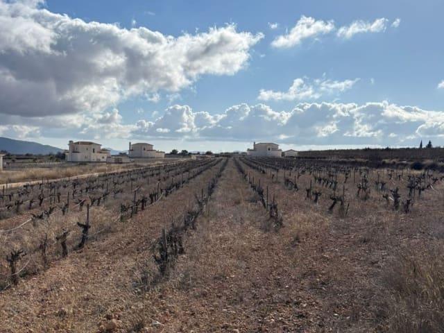 Terreno/Finca Rústica en venta en Pinoso, Alicante
