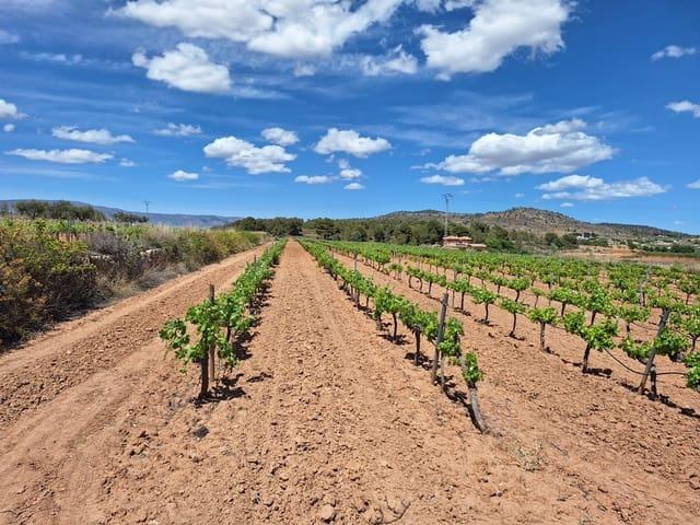 Terreno/Finca Rústica en venta en Pinoso, Alicante