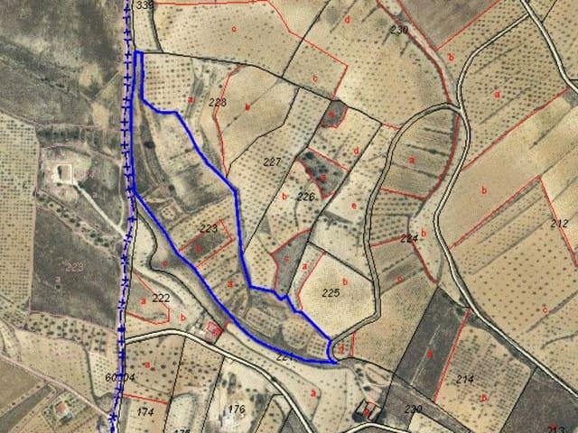 Terreno/Finca Rústica en venta en Pinoso, Alicante