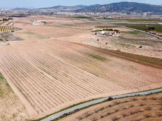 Terreno/Finca Rústica en venta en Pinoso, Alicante