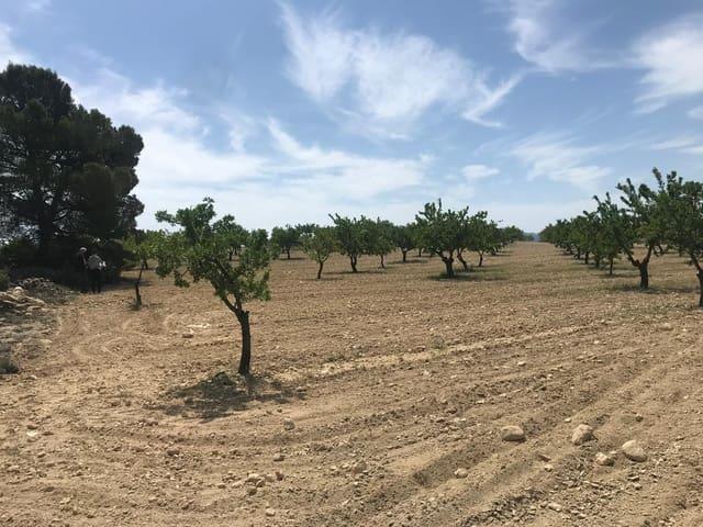 Terreno/Finca Rústica en venta en Pinoso, Alicante