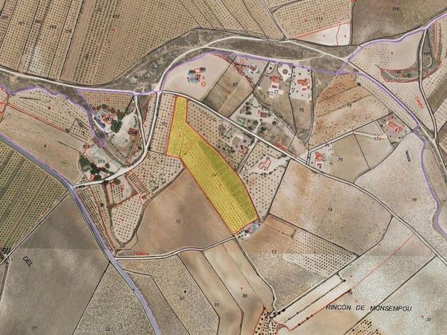 Terreno/Finca Rústica en venta en Pinoso, Alicante