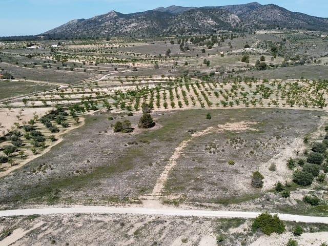 Terreno/Finca Rústica en venta en Pinoso, Alicante