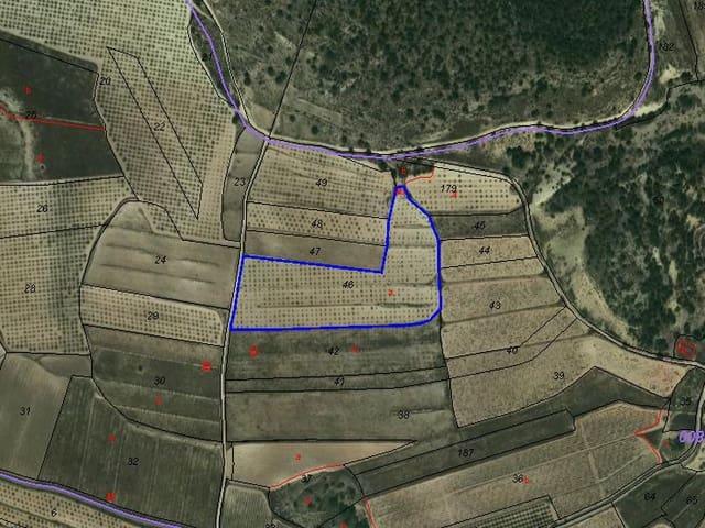 Terreno/Finca Rústica en venta en Pinoso, Alicante