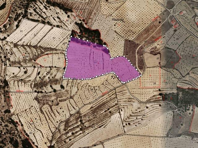 Terreno/Finca Rústica en venta en Pinoso, Alicante