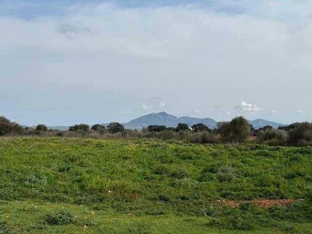 Terreno/Finca Rústica en venta en Porreres, Mallorca