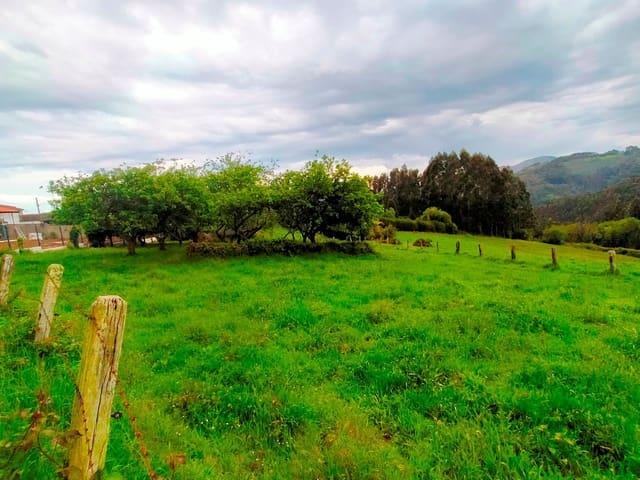 Terreno/Finca Rústica en venta en Pravia, Asturias Costa Verde