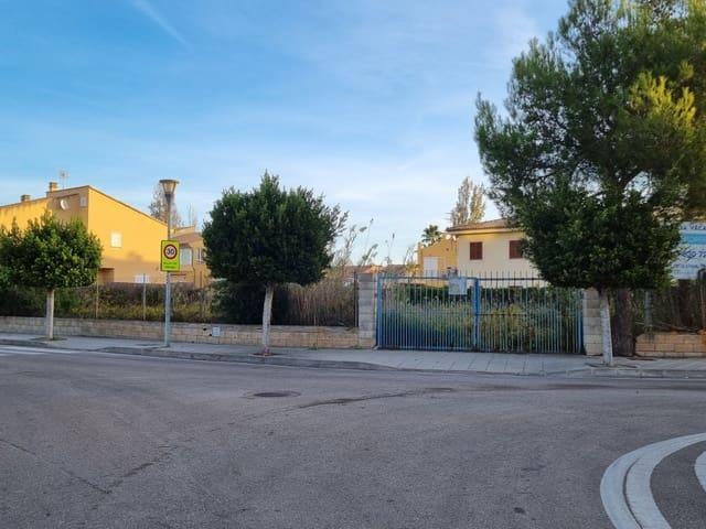 Terreno/Finca Rústica en venta en Puerto de Alcudia, Mallorca