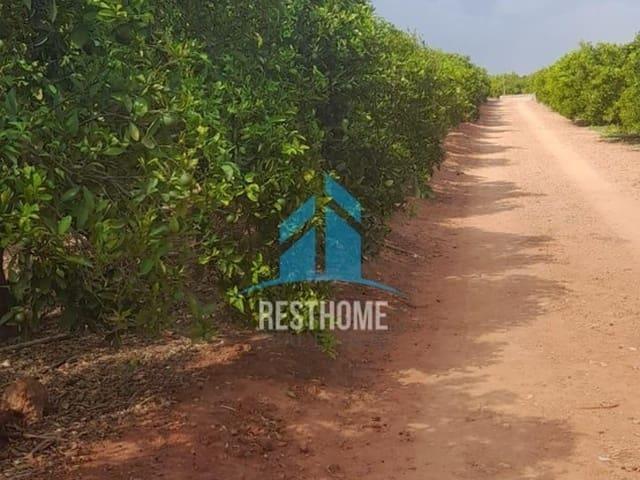 Terreno/Finca Rústica en venta en Puig, Valencia Costa Valencia