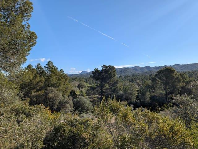 Terreno/Finca Rústica en venta en Rasquera, Tarragona