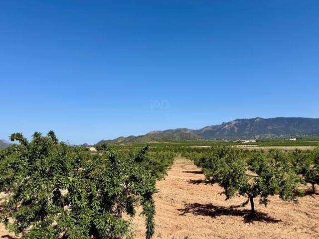Terreno/Finca Rústica en venta en Ricote, Murcia