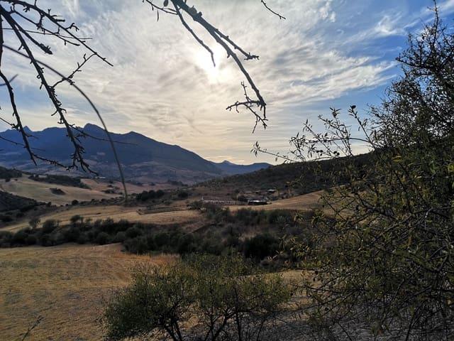 Terreno/Finca Rústica en venta en Ronda, Málaga