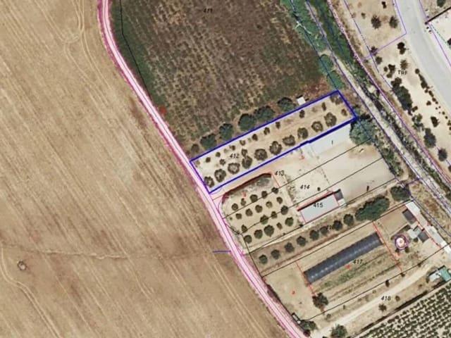 Terreno/Finca Rústica en venta en Rociana del Condado, Huelva