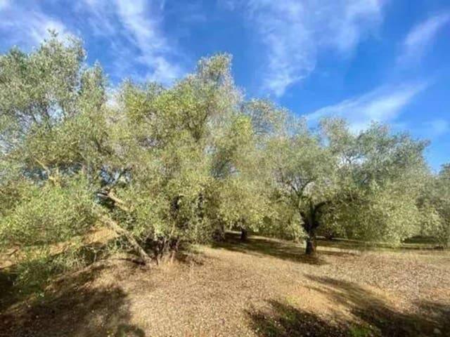 Terreno/Finca Rústica en venta en Rociana del Condado, Huelva