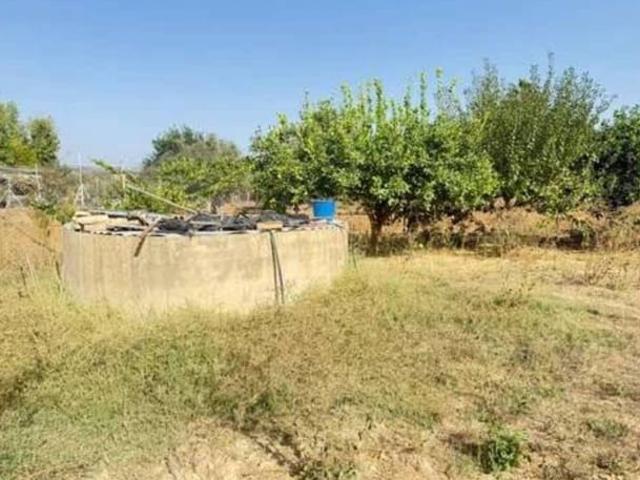 Terreno/Finca Rústica en venta en Rociana del Condado, Huelva