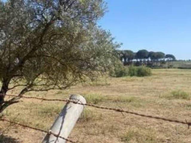Terreno/Finca Rústica en venta en Rociana del Condado, Huelva