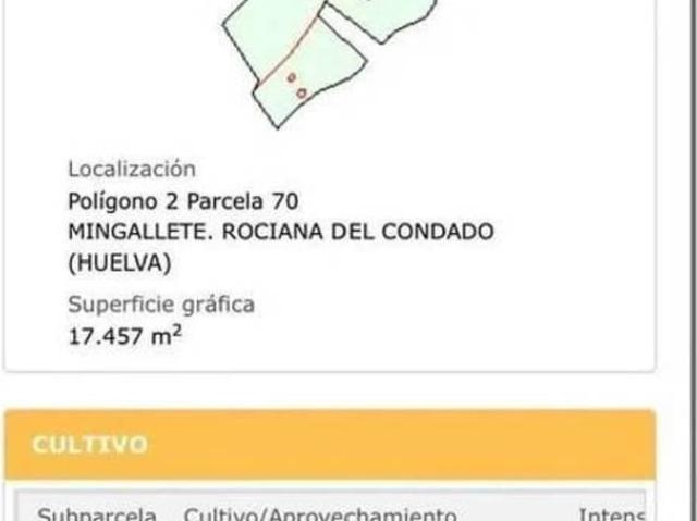 Terreno/Finca Rústica en venta en Rociana del Condado, Huelva