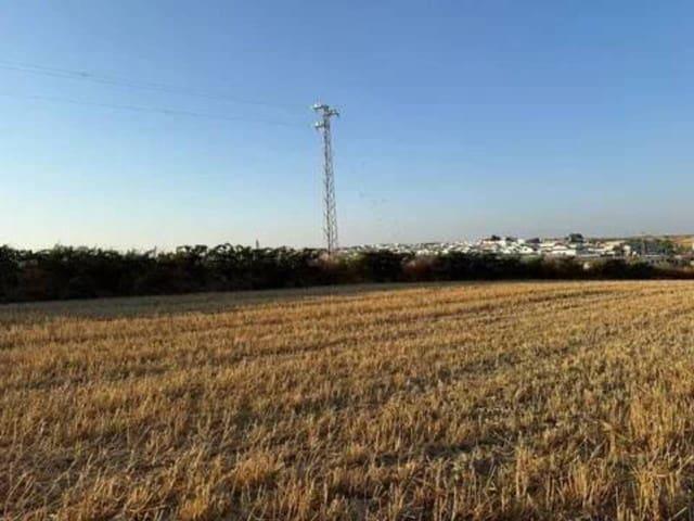Terreno/Finca Rústica en venta en Rociana del Condado, Huelva