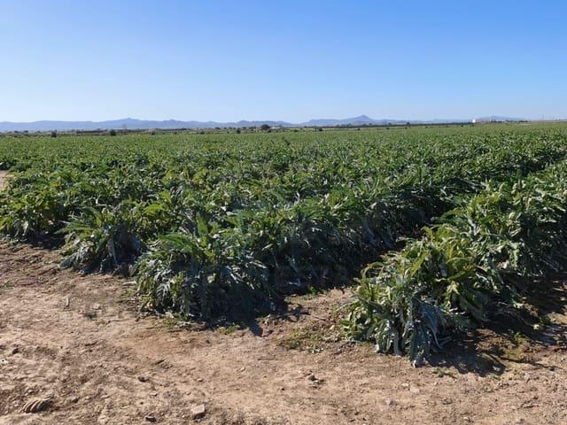 Terreno/Finca Rústica en venta en Roldan, Murcia
