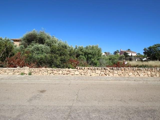 Terreno/Finca Rústica en venta en Sa Torre Llucmajor, Mallorca