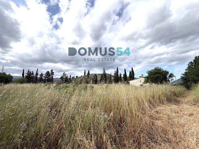 Chalet en venta en Sa Pobla, Mallorca