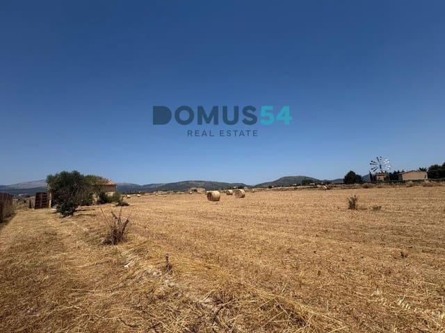 Terreno/Finca Rústica en venta en Sa Pobla, Mallorca
