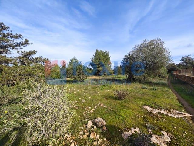 Terreno/Finca Rústica en venta en Sant Antoni de Portmany, Ibiza