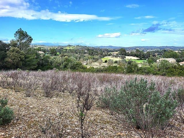 Terreno/Finca Rústica en venta en Sant Joan, Mallorca