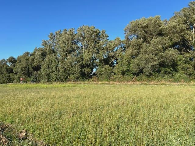 Terreno/Finca Rústica en venta en Santa Cilia, Huesca