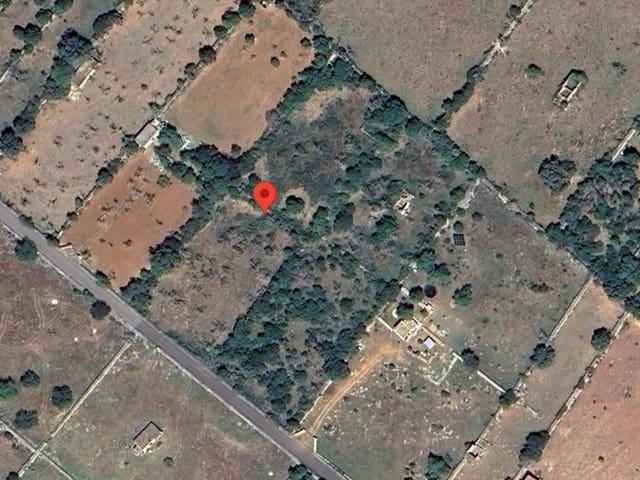 Terreno/Finca Rústica en venta en Santa Margalida, Mallorca