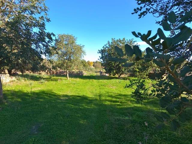 Terreno/Finca Rústica en venta en Santa Margalida, Mallorca
