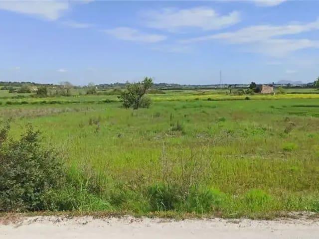 Terreno/Finca Rústica en venta en Santa Margalida, Mallorca