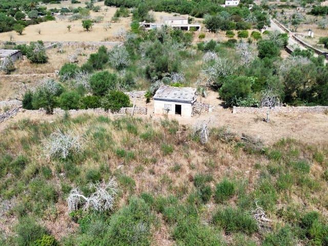 Terreno/Finca Rústica en venta en Santa Margalida, Mallorca