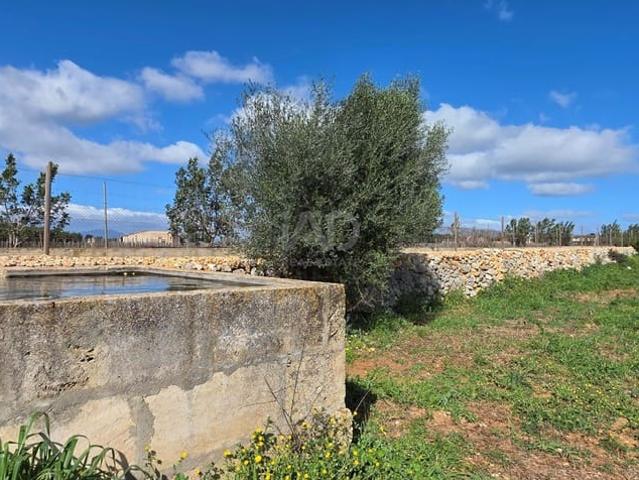 Terreno/Finca Rústica en venta en Santa Margalida, Mallorca