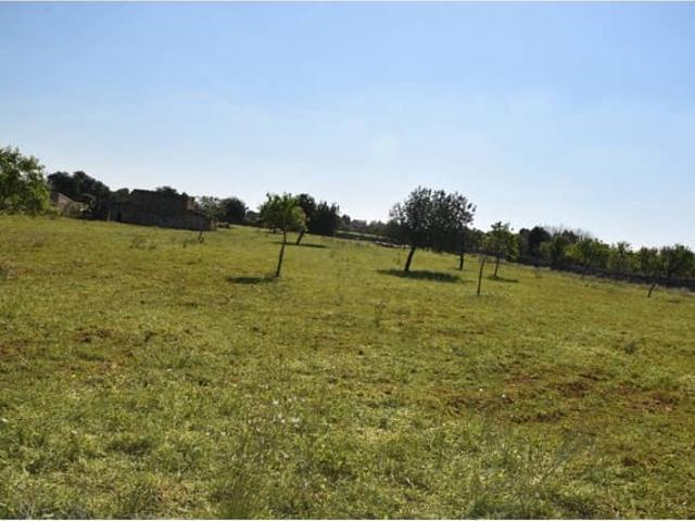 Terreno/Finca Rústica en venta en Santa Margalida, Mallorca