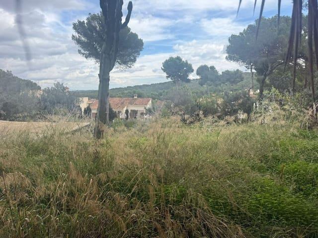 Terreno/Finca Rústica en venta en El Toro / Port Adriano, Mallorca
