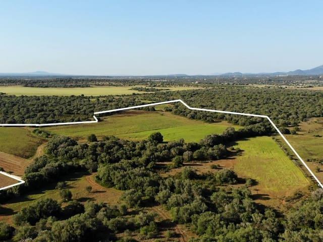 Terreno/Finca Rústica en venta en Santanyí, Mallorca