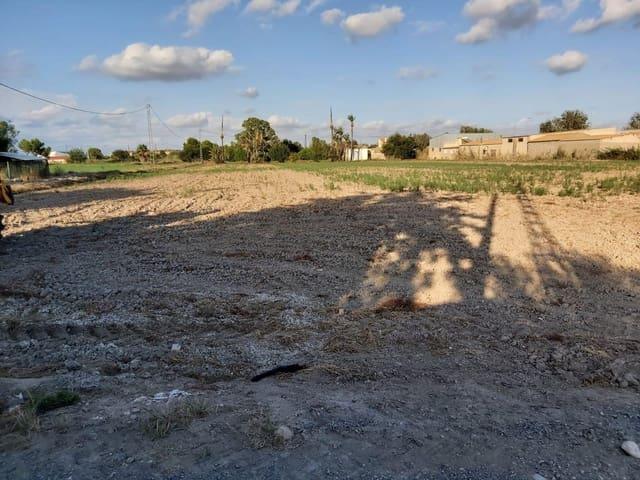 Terreno/Finca Rústica en venta en San Felipe Neri, Alicante