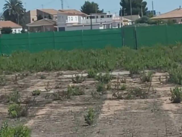 Terreno/Finca Rústica en venta en San Pedro del Pinatar, Murcia Costa Cálida