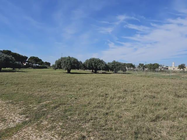 Terreno/Finca Rústica en venta en San Pedro del Pinatar, Murcia Costa Cálida